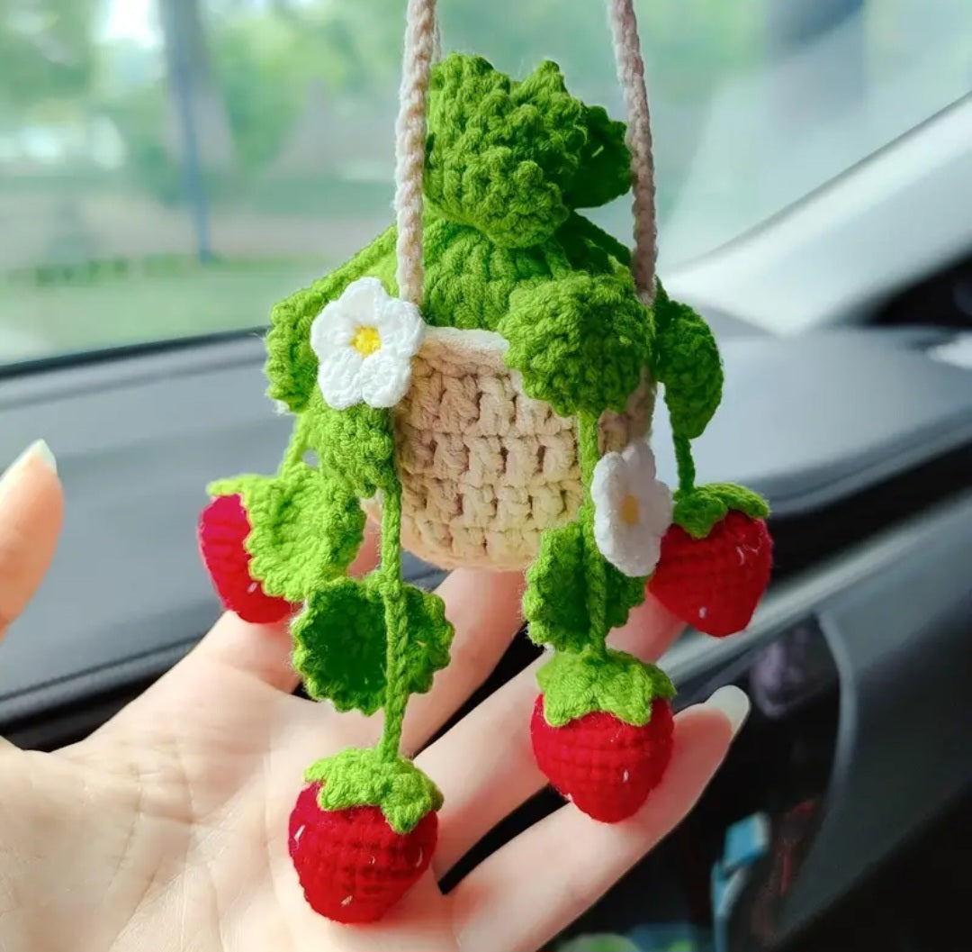 Crochet Plant decor